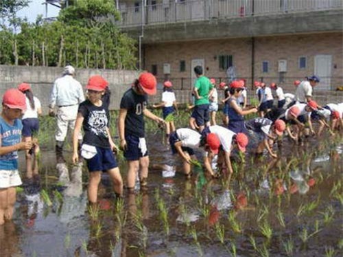 Sang Nhật lại choáng vì chuyện ăn của trẻ - 9