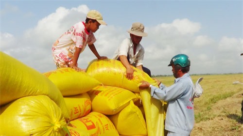 Xe cấp cứu miễn phí