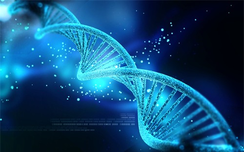 Công nghệ DNA