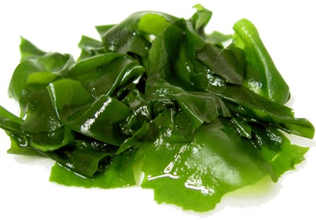 Hải tảo là dược liệu quý trong điều trị bệnh tuyến giáp.