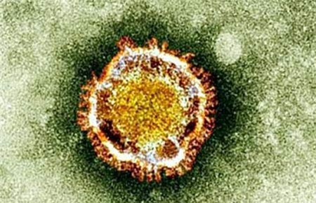 Tìm ra hợp chất tiêu diệt vi rút gây bệnh SARS và MERS