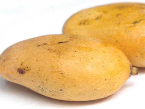 Ích lợi của xoài