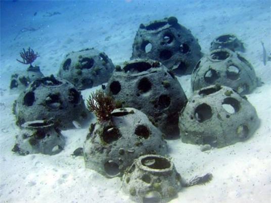 Xác chết có thể trở thành một phần của rặng san hô.
