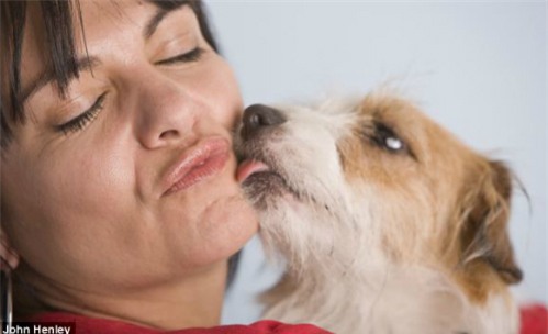 Yêu thú cưng nhưng phải cẩn thận thú cưng có thể chống lại thuốc kháng sinh bệnh nhiễm trùng ở người. Ảnh: Health Medicine Network