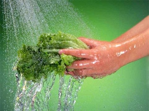 Người Việt Nam có nhu cầu sử dụng rau sống trong bữa ăn lớn 