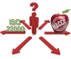 HACCP hay ISO 22000 HACCP hay ISO 22000