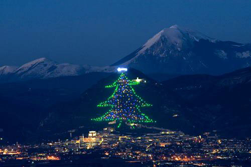 Cây thông Noel nhân tạo cao bằng ngọn núi - Ảnh 3