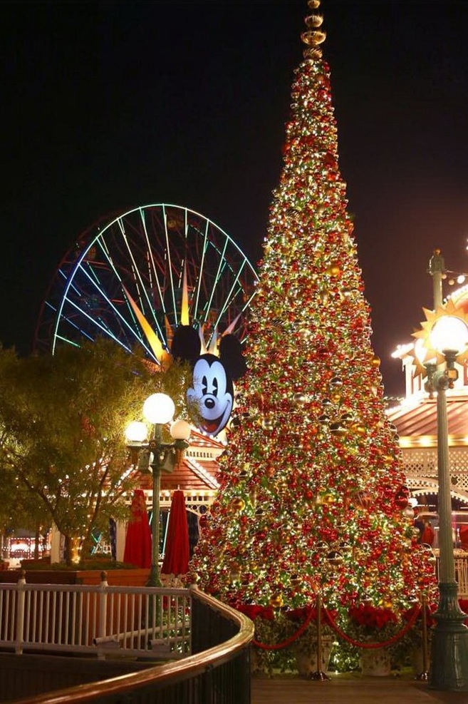 Cây thông tỏa sáng ở công viên Disneyland, California, Mỹ (Ảnh: PR Newswire)