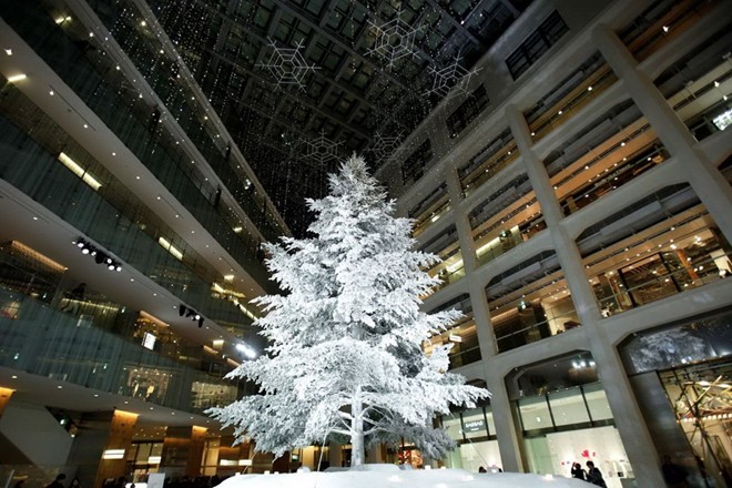 Photo: Những cây thông Noel rực rỡ nhất trên thế giới - Ảnh 2