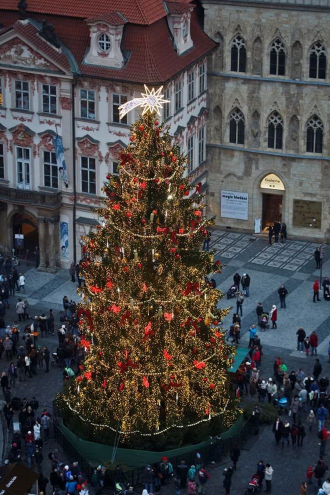 Photo: Những cây thông Noel rực rỡ nhất trên thế giới - Ảnh 3