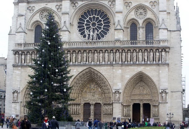 Cây thông phía trước nhà thờ Notre Dame, Paris, Pháp (Ảnh: AP)