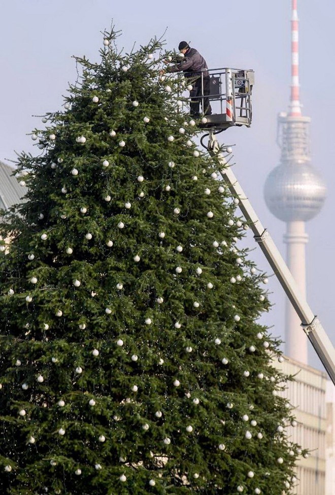 Photo: Những cây thông Noel rực rỡ nhất trên thế giới - Ảnh 9