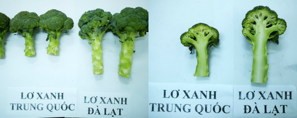 Photo: Cách phân biệt rau quả Việt và Trung Quốc - Ảnh 8