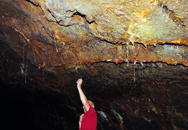 Cận cảnh hang động dài nhất Đông Nam Á tại Đắk Nông - Ảnh 11