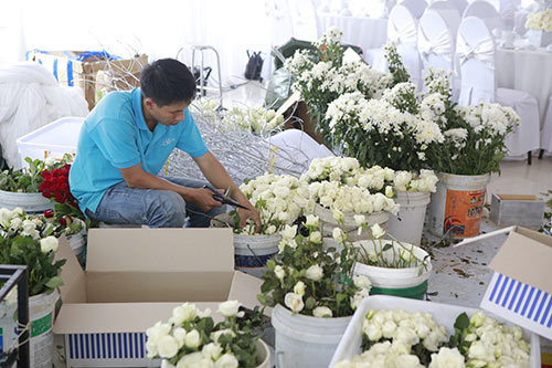 Hơn 50.000 bông hoa hồng trắng được tuyển chọn để trang trí tiệc cưới