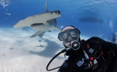 Đây là một trong những bức ảnh được đánh giá là nguy hiểm nhất năm 2014 (theo Daily Mail). Để có thể làm một phóng sự về cá mập nhằm bảo vệ loài động vật này, Peter đã không ngại khó khăn, mạo hiểm lặn xuống bờ biển Guadeloupe tại Mexico