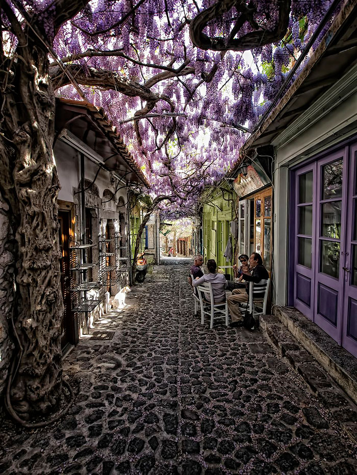 Những đường phố đẹp như cổ tích bởi cây và hoa - Ảnh 2