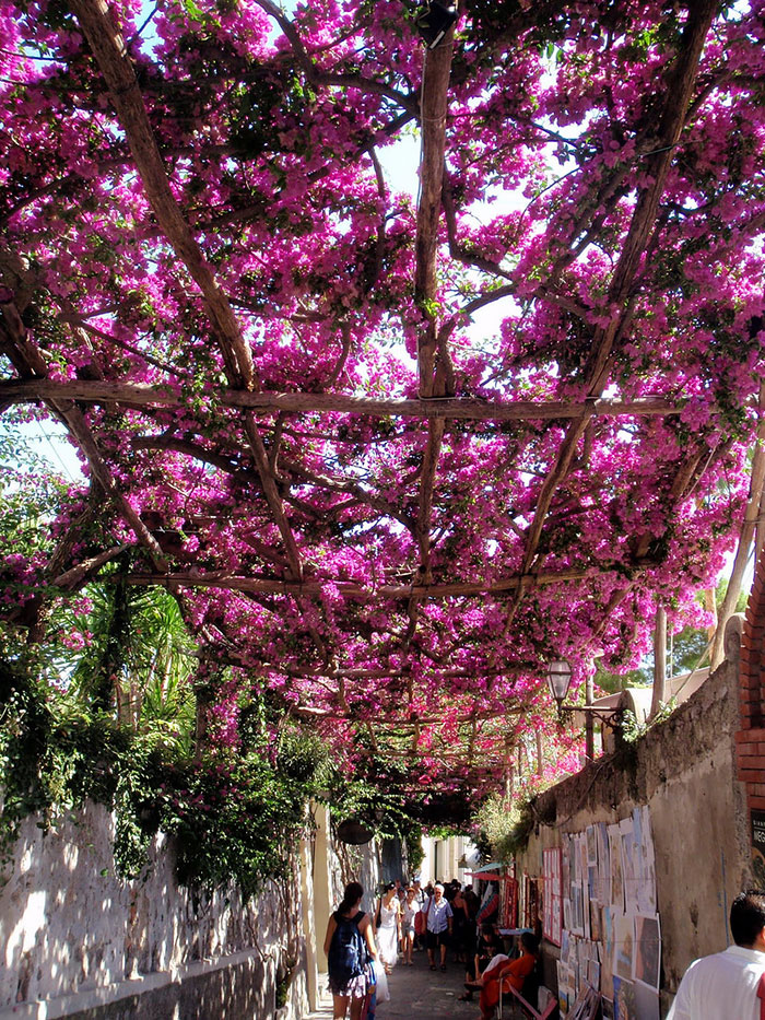 Những đường phố đẹp như cổ tích bởi cây và hoa - Ảnh 13