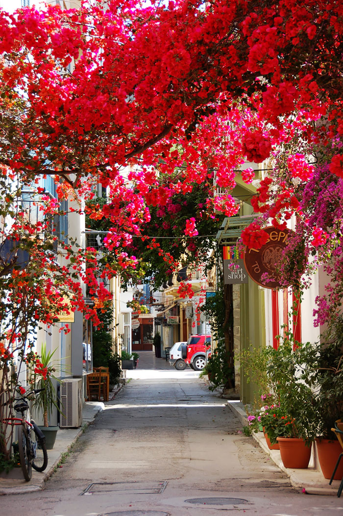 Những đường phố đẹp như cổ tích bởi cây và hoa - Ảnh 14