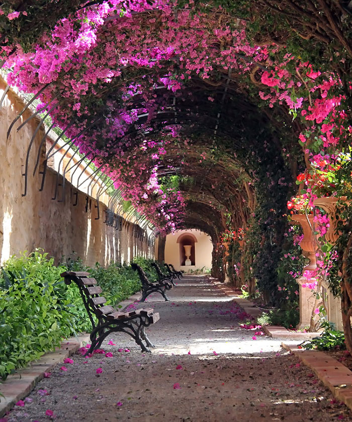 Những đường phố đẹp như cổ tích bởi cây và hoa - Ảnh 5