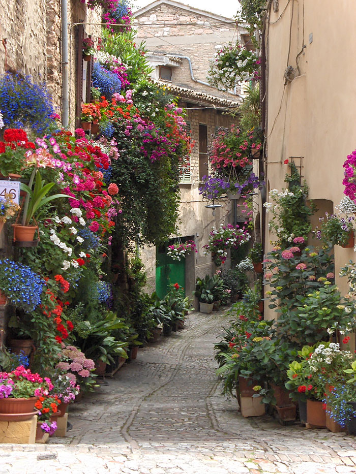 Những đường phố đẹp như cổ tích bởi cây và hoa - Ảnh 10