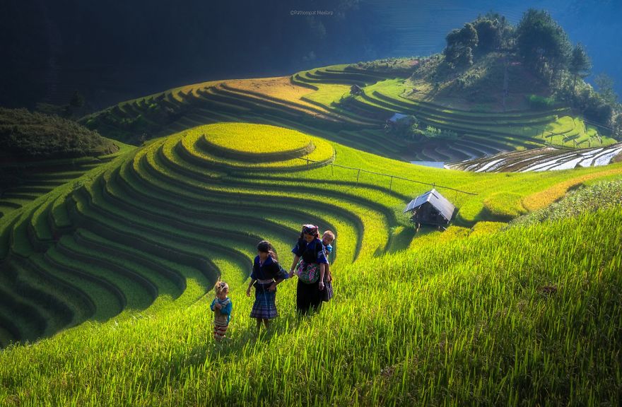 20 cánh đồng lúa đẹp kỳ diệu của vùng Viễn Đông - Ảnh 19