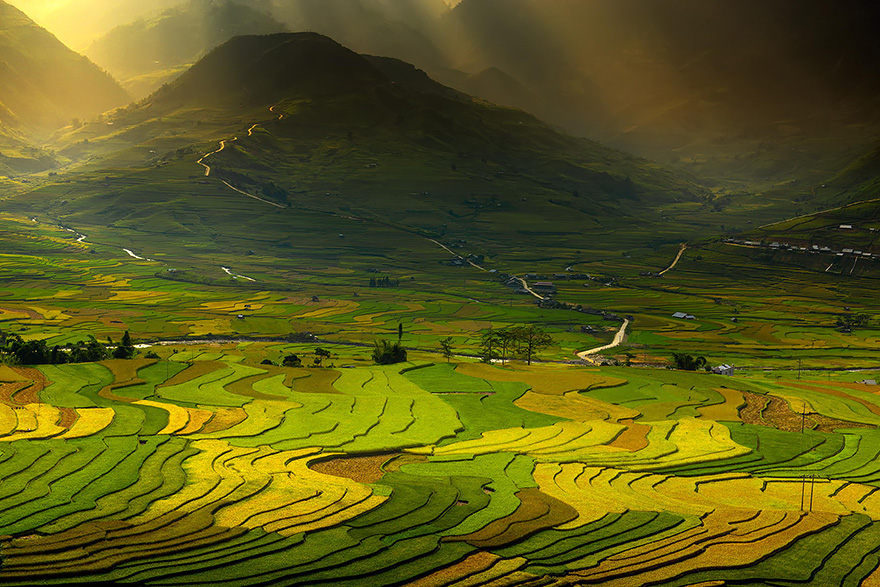 20 cánh đồng lúa đẹp kỳ diệu của vùng Viễn Đông - Ảnh 20