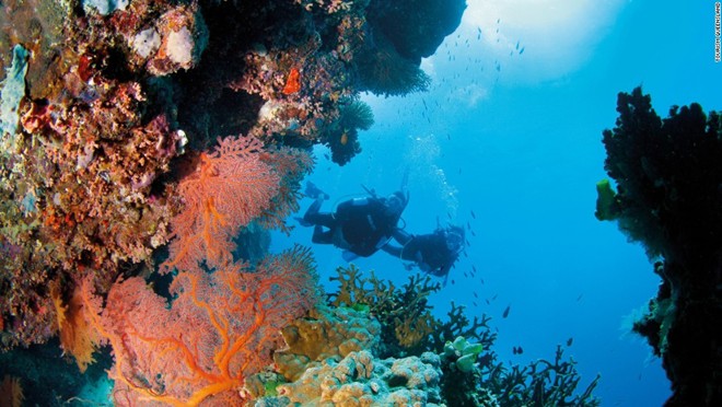 Rạn san hô Great Barrier Reef, Australia: Đây là rạn san hô lớn nhất thế giới và được UNESCO công nhận là di sản thế giới vào năm 1981, Great Barrier Reef bao phủ một vùng với diện tích lên đến 380.000 km2, bao gồm khoảng 3.000 tảng đá ngầm và 900 hòn đảo.