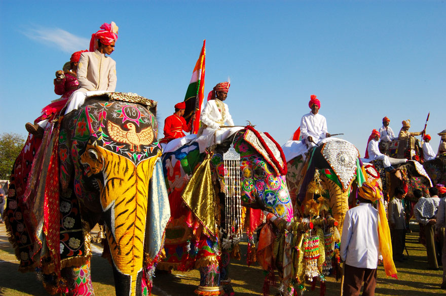 Lễ hội Voi Jaipur (Ấn Độ)