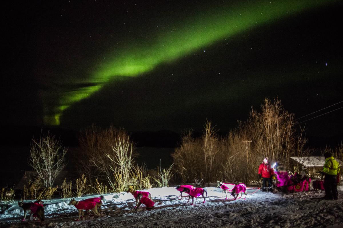 Bắc Cực quang - Hiện tượng kỳ thú của thiên nhiên - Ảnh 7