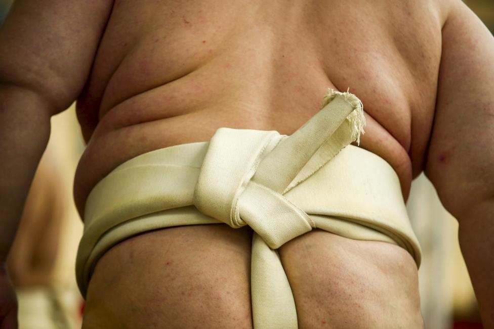 Độc đáo Lễ hội sumo ở Nhật Bản - Ảnh 9