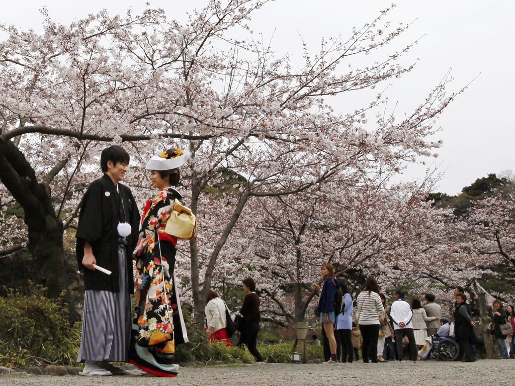 Một cặp đôi trong trang phục truyền thống đến chụp ảnh cưới ở công viên Sankeien, Yokohama, phía nam Tokyo.