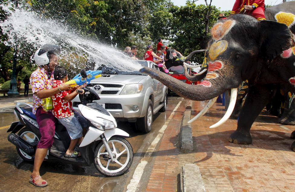 Những chú voi cũng tham gia vào cuộc chiến với người dân Thái Lan