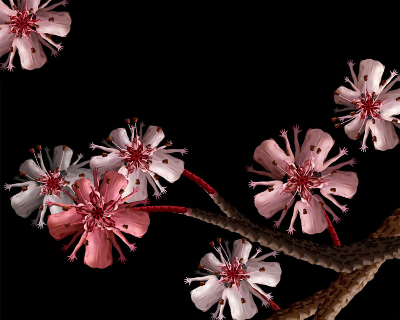 Tuyệt tác từ những bông hoa... khỏa thân - Ảnh 3