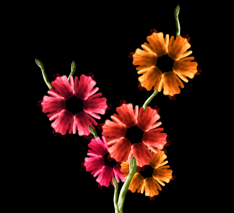 Tuyệt tác từ những bông hoa... khỏa thân - Ảnh 8