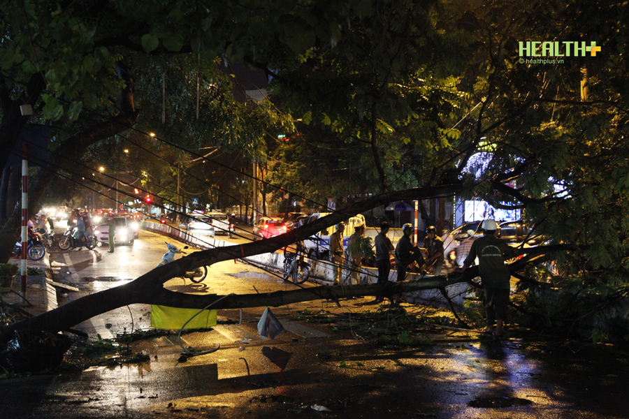 Hà Nội: Cây xanh, cột điện đổ ngổn ngang sau trận mưa dông dữ dội - Ảnh 1