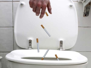 Những thực phẩm giúp loại bỏ độc tố nicotine khỏi cơ thể - Ảnh 1