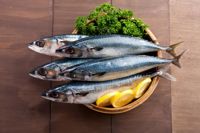 Cá nục: Bên cạnh acid béo Omega-3, cá nục cũng chứa hàm lượng cao vitamin B12, niacin, selen, magne, sắt kali và một lượng protein vừa phải. Có nhiều cách chế biến cá nục, chẳng hạn nướng, kho, hấp, rán...