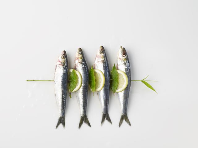 8 loại cá giàu Omega-3 nhất bạn nên ăn - Ảnh 5