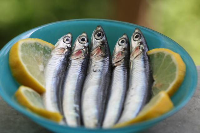 Cá cơm có thể chế biến thành các món ăn tương tự cá mòi hoặc dùng để làm nước mắm. Cá cơm cũng rất giàu protein, calci, kali, selen, vitamin B12 và niacin.