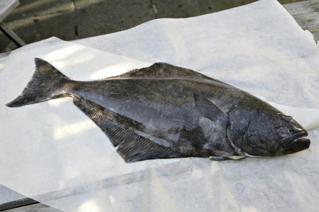 Cá bơn Halibut: Đây là loại cá dành cho những người không thực sự thích hương vị quá đậm của cá biển. Cá bơn Halibut có thịt màu trắng, giàu Omega-3. Cá bơn cũng là một nguồn tuyệt vời của protein, kali và niacin.