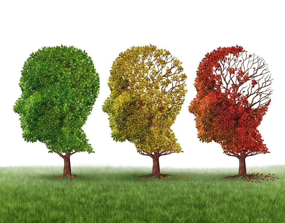 Bí quyết giúp phòng ngừa sa sút trí tuệ và bệnh Alzheimer - Ảnh 1