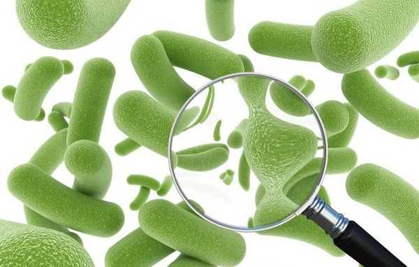 10 loại vi khuẩn có lợi cho cơ thể mà bạn nên bổ sung - Ảnh 1