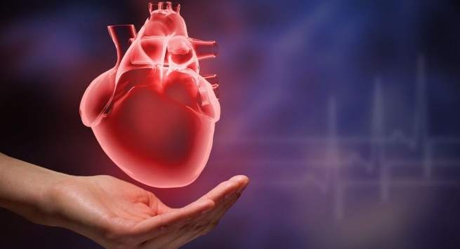 Làm gì để giảm nguy cơ mắc các vấn đề tim mạch trong mùa Đông? - Ảnh 1
