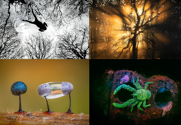 Những bức ảnh thiên nhiên hoang dã đẹp nhất nước Anh năm 2026 - Ảnh 1