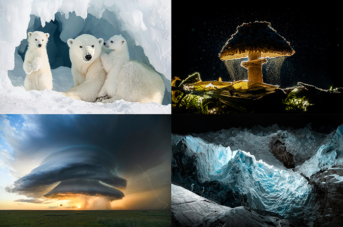 Những bức ảnh ấn tượng nhất Giải thưởng Nhiếp ảnh Sony năm 2026 - Ảnh 1